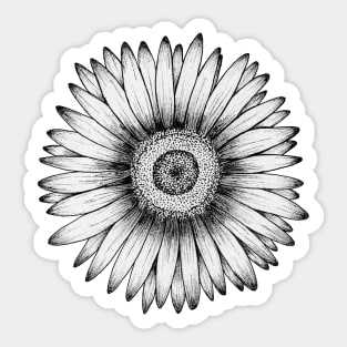 Gerbera Sticker